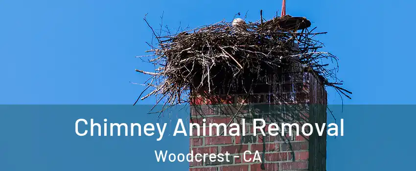  Chimney Animal Removal Woodcrest - CA