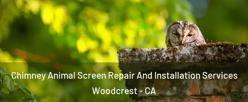  Chimney Animal Screen Repair And Installation Services Woodcrest - CA