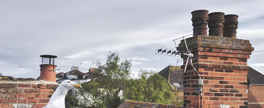 Chimney Cleaning And Restoration in Woodcrest, California